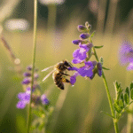 Jak pomóc pszczole?